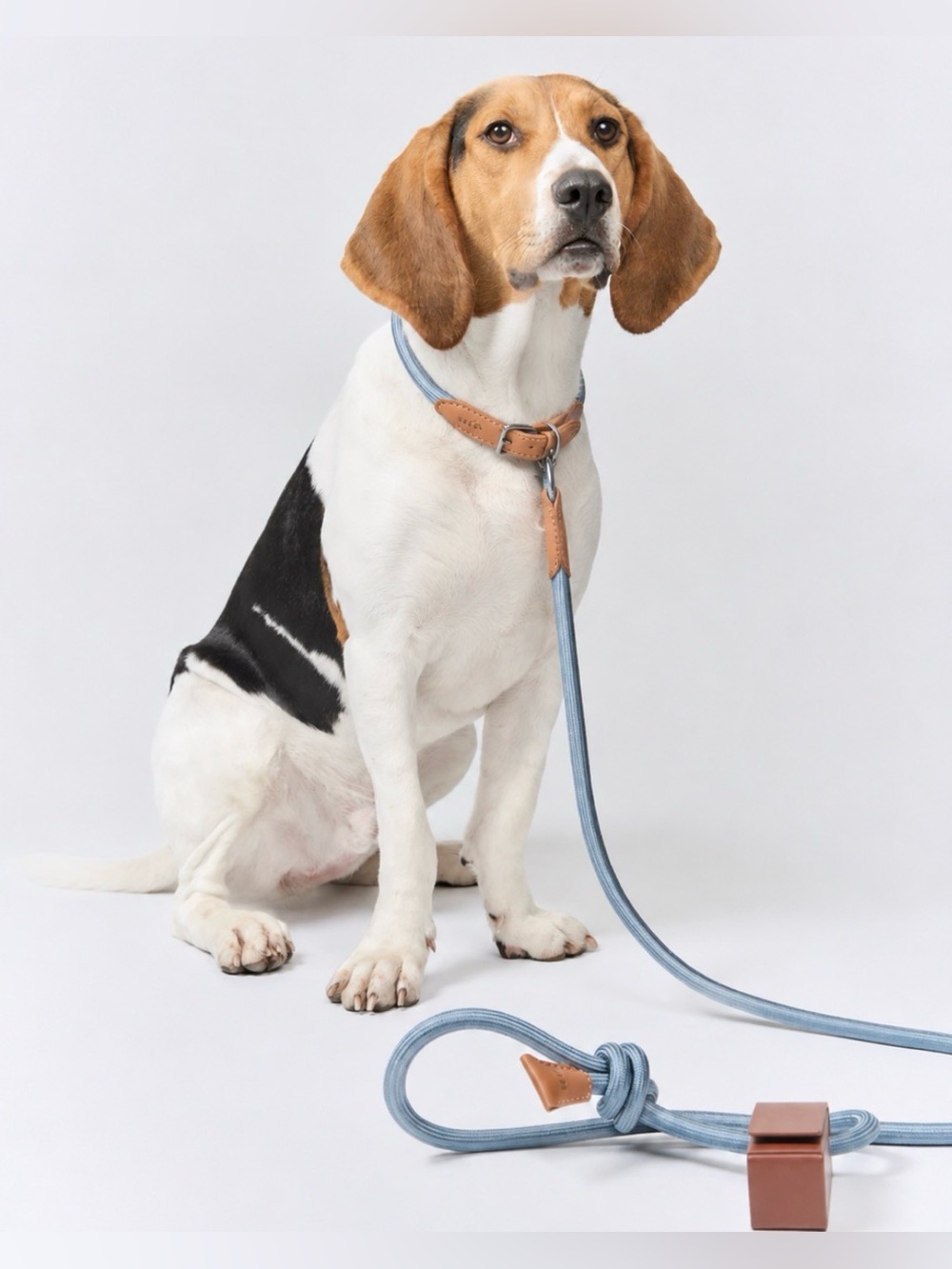 NWT Boo Oh Ray Italian Leather Collar & Silk Rayon Rope Leash Set for Dogs Sz M - Picture 3 of 12